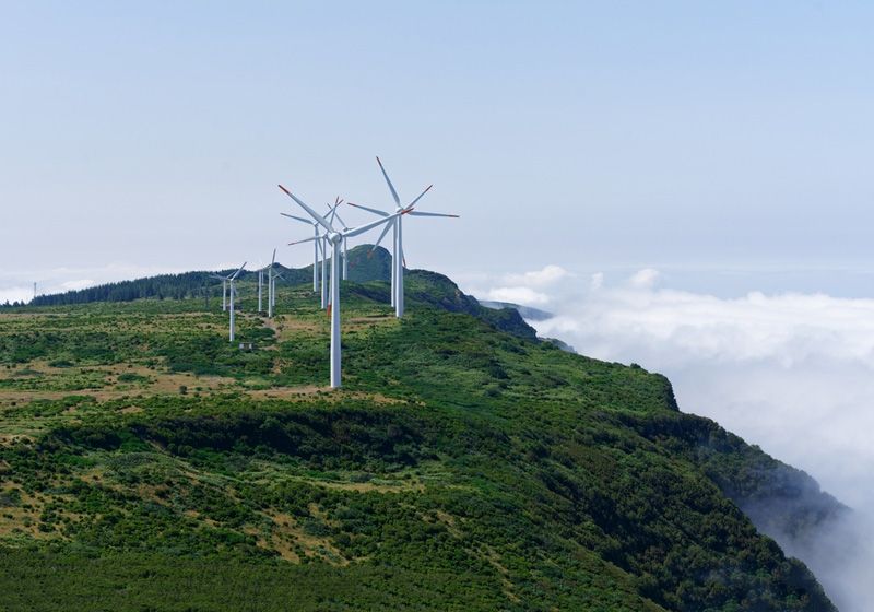 風(fēng)力發(fā)電機(jī)的葉片有多長？